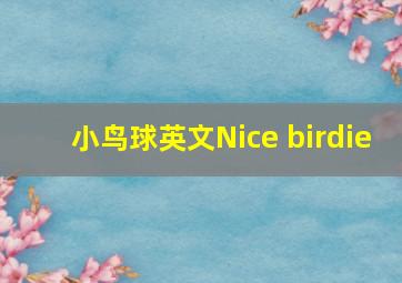 小鸟球英文Nice birdie